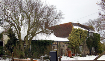 Walnut Tree Close December 2009